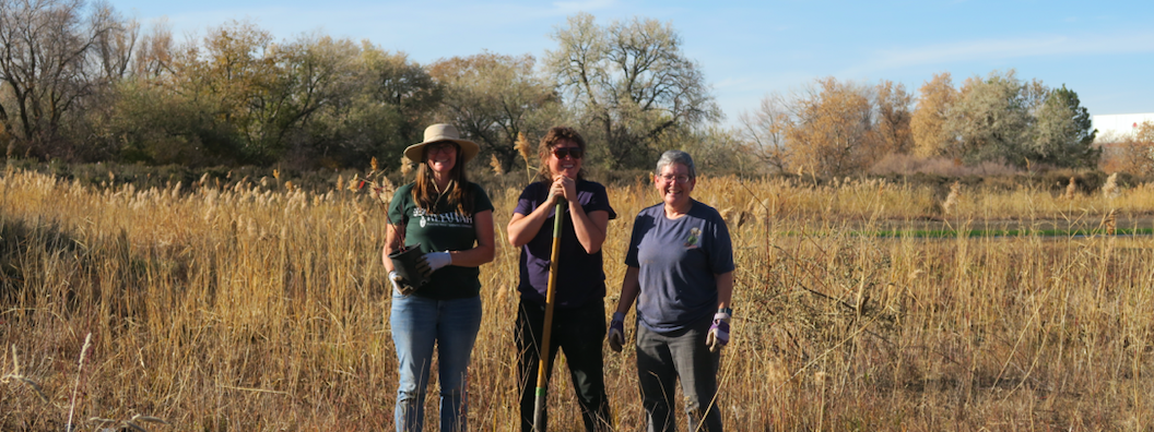 Three people stand in a grassy field in front of a grove of trees in the Fall